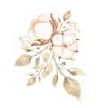 Watercolor hand drawn soft color cotton bouquet illustration and branch. Wedding bouquets