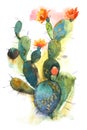 Watercolor Hand Drawn Spiky Cactus Bloom Flower