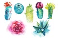 Watercolor hand drawn spiky cactus bloom flower. Royalty Free Stock Photo