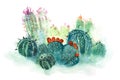 Watercolor Hand Drawn Spiky Cactus Bloom Flower.
