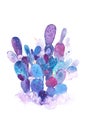 Watercolor hand drawn spiky cactus bloom flower Royalty Free Stock Photo