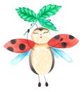 Watercolor hand drawn summer illustration of lady bird with spotted wings flying smiling holding carved strawberry leaf. Royalty Free Stock Photo