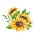 Watercolor hand-drawn sunflower composition Royalty Free Stock Photo