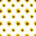 Watercolor hand drawn sunflower seamless pattern Royalty Free Stock Photo