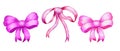 Watercolor hand drawn three ribbon bows in pink purple fuchsia lilac colors. For birthday baby shower celebration party