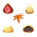 Watercolor hand drawn traditional Japanese sweets. Autumn wagashi, mochi, daifuku, momiji leaves. Isolated on white