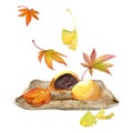 Watercolor hand drawn traditional Japanese sweets. Ceramic dish, autumn neri-kiri, mochi, daifuku. Isolated on white Royalty Free Stock Photo