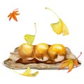 Watercolor hand drawn traditional Japanese sweets. Ceramic dish, mitarashi dango, autumn leaves. Isolated on white Royalty Free Stock Photo