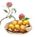 Watercolor hand drawn traditional Japanese sweets. Ceramic dish, mitarashi dango, camellia flower. Isolated on white Royalty Free Stock Photo