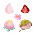 Watercolor hand drawn traditional Japanese sweets. Spring wagashi, sakura mochi, daifuku, cherry. Isolated on white Royalty Free Stock Photo