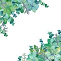 Watercolor triangle corner frame of eucalyptus, decorative nettle, mint
