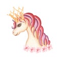 Watercolor hand drawn  unicorn horse with crown and flowers, pony animal illustration , fairy tale animal creature, magical  clip Royalty Free Stock Photo