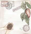 Watercolor hand drawn vintage paper with cacao branch and stamps, postcard illustration, cocoa leaves and pod clipart