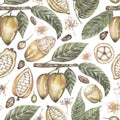Watercolor hand drawn vintage style cacao branch seamless pattern, floral repeat paper, cocoa leaves and pod background, textile
