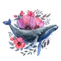 Whale composition with flowers and leaves watercolor hand drawn illustration isolated on white. Royalty Free Stock Photo