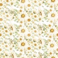 Watercolor hand drawn white daisy flowers seamless pattern, Florals repeat paper, chamomile repeat background. scrapbook paper