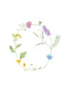 Watercolor hand drawn wild meadow flower alphabet collection. Letter O cow vetch, dandelion, clover, cornflower, tansy, yarrow