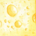 Watercolor hand drawn yellow cheese background. Template for your design. A piece of delicious cheese. Drawing