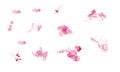 Watercolor handpainted abstract spread pink colors stain illustration texture on white background