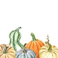 Watercolor hand painted autumn pumpkins on white background. vegetables frame, isolated Royalty Free Stock Photo