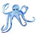 Watercolor hand painted, blue octopus with tentacles isolated on white background. Royalty Free Stock Photo