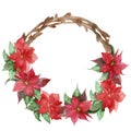 Watercolor hand painted christmas circle wreath with brown branch and red flower poinsettia Royalty Free Stock Photo