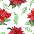 Watercolor hand painted Christmas seamless pattern with red poinsettia flower and green leaves Royalty Free Stock Photo