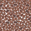 Watercolor hand painted coffee beans on white background