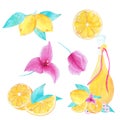 Watercolor hand painted collection of lemon, bouganvillea and olive oil. Royalty Free Stock Photo