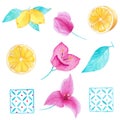 Watercolor hand painted collection of lemon, bouganvillea flower, leave and square mosaic. Can be used for printing and decoration Royalty Free Stock Photo