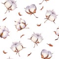 Watercolor hand painted cotton flowers seamless pattern