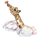 Watercolor hand painted cute clowds and giraffe Illustration isolated on white background. Design for baby shower party, birthday