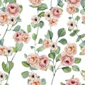 Watercolor hand painted eucalyptus and flowers seamless pattern . Greenery branches and leaves isolated on white background. Flor Royalty Free Stock Photo