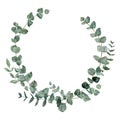 Watercolor hand-painted eucalyptus wreath. Green foliage frame illustration Royalty Free Stock Photo