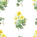 Watercolor hand painted floral herbal seamless pattern with yellow blossom celandine flowers and green eucalyptus leaves on branch Royalty Free Stock Photo