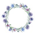 Watercolor hand painted floral round frame with green leaves and  blue and purple wild flowers isolated on white Royalty Free Stock Photo