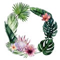 Watercolor hand painted floral round frame with tropical flowers and leaves: monstera, banana tree, palm, protea, plumeria and hib Royalty Free Stock Photo