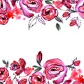 Watercolor hand painted flower elements Royalty Free Stock Photo