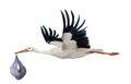 Watercolor hand painted flying white stork with boy baby. Hand painted ciconia bird illustration isolated on white background. For Royalty Free Stock Photo