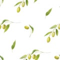Watercolor hand painted garden plant seamless pattern with green olives and leaves on branches texture composition
