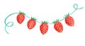 Watercolor hand painted garland made of red ripe juicy strawberry berries isolated on white background. Royalty Free Stock Photo