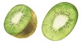 Watercolor hand painted green kiwi Jucy raw exotic Kiwi fruit set. Tropical sweet fresh fruit isolated on white
