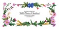 Head banner from plants of Scotland with blue silk bow-knot Royalty Free Stock Photo