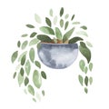 Watercolor hand painted house green plants in a flower pot. Royalty Free Stock Photo