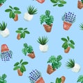 Watercolor hand painted house green plants in flower pots. Seamless pattern of floral elements on blue background Royalty Free Stock Photo