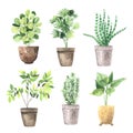 Watercolor hand painted house green plants Royalty Free Stock Photo