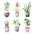 Watercolor hand painted house green plants in flower pots Royalty Free Stock Photo