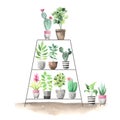 Watercolor hand painted house green plants Royalty Free Stock Photo