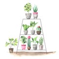 Watercolor hand painted house green plants Royalty Free Stock Photo