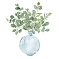 Watercolor Hand Painted House Green Plants In Glass Vase With Branches Eucalyptus. Eco Natural Minimalistic Illustration.